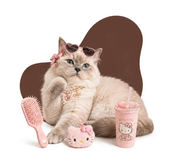 Accessoires pour chats