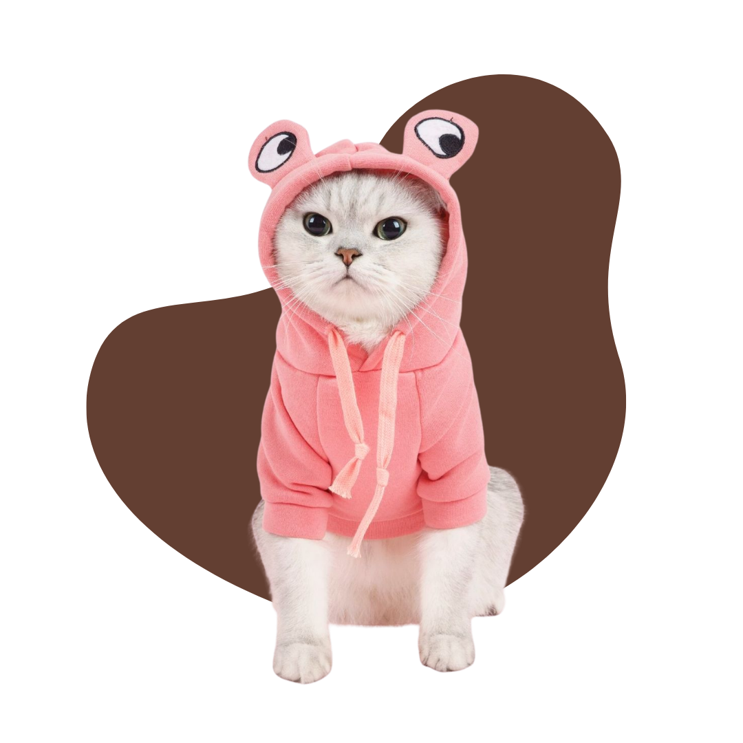 Vêtements pour chats