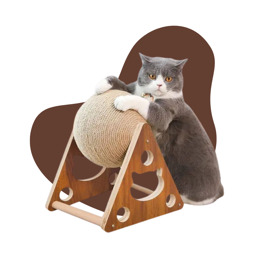 Jouets pour chats
