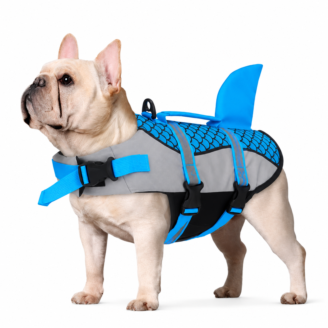 Gilet de sauvetage requin pour chien