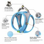 Dog harnesses for all sizes