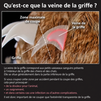 LED Nail Clippers for Dogs and Cats