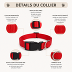 Personalized nylon dog collar with name and phone number