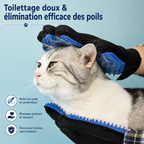 Gant de toilettage anti-poils