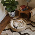 Round cotton rope cat bed with cushion