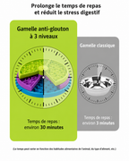 Gamelle à alimentation lente rotative