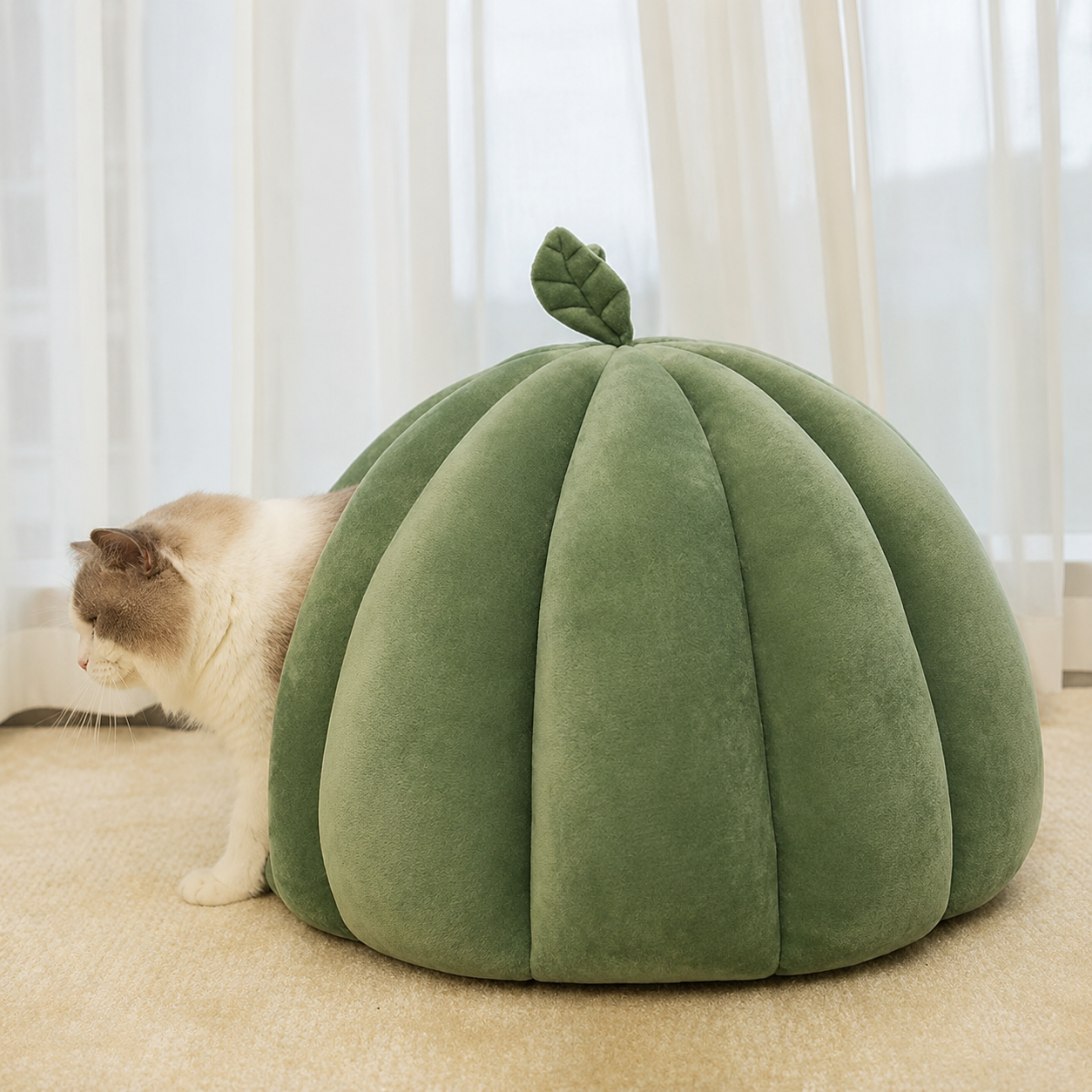 Lit citrouille pour chats d’intérieur