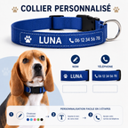 Personalized nylon dog collar with name and phone number