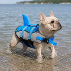 Gilet de sauvetage requin pour chien