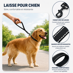 Laisse courte réfléchissante