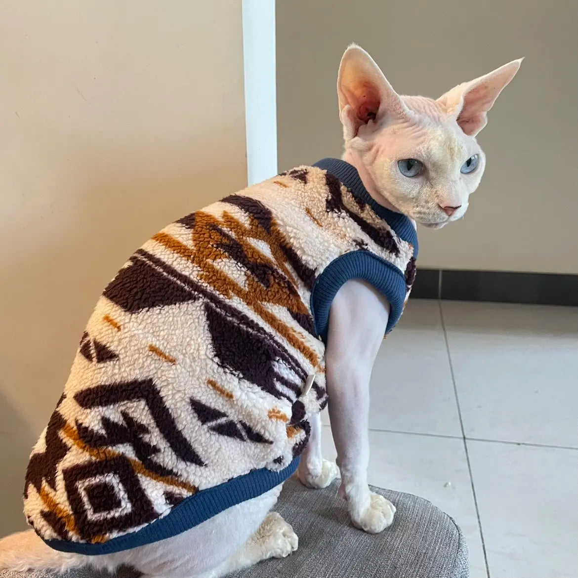 Vêtement polaire pour chat