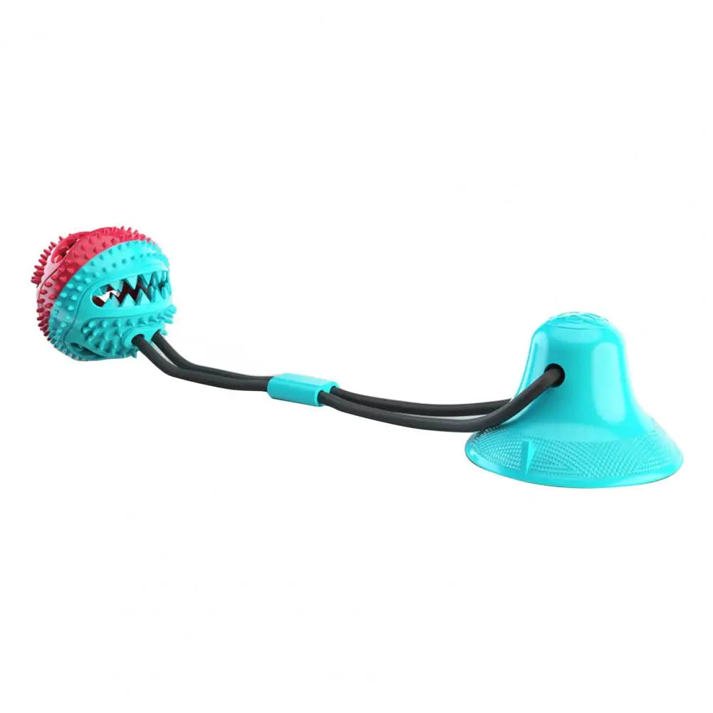 Ventouse avec corde et friandises