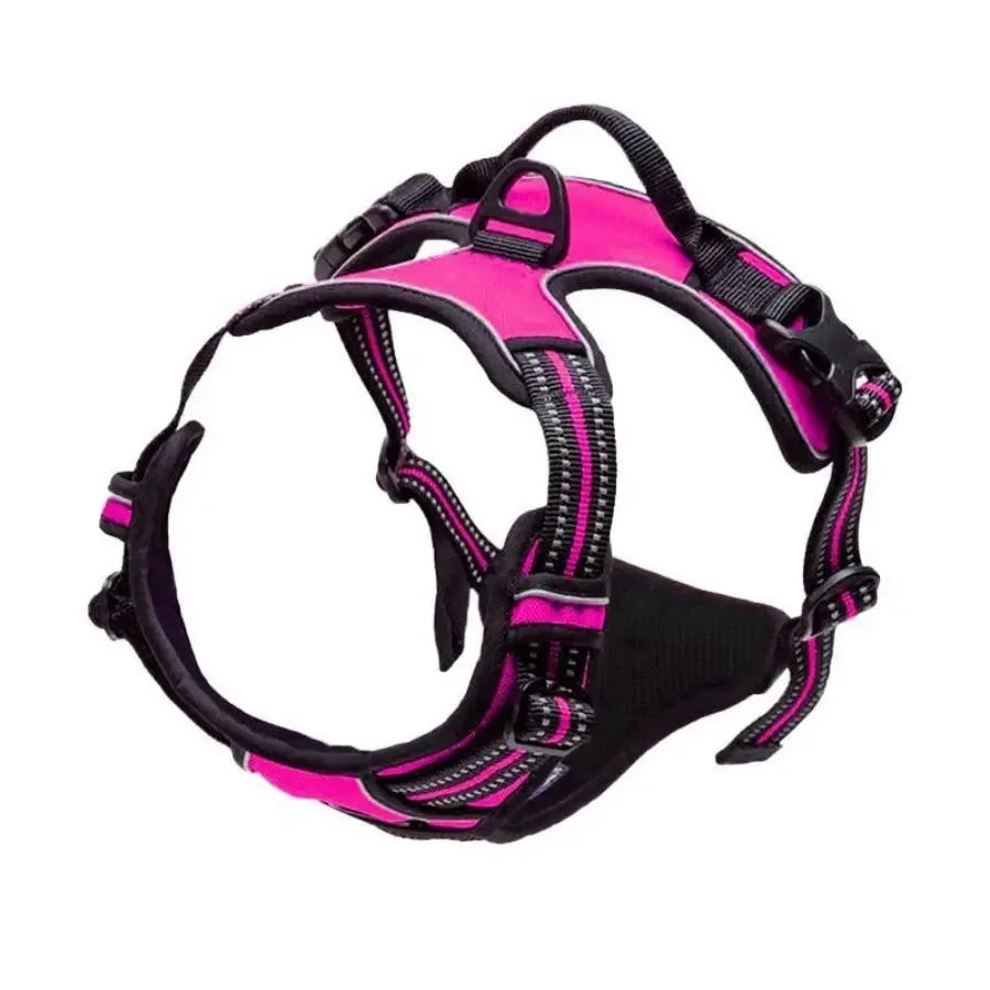 Harnais confort premium pour chien