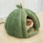 Lit citrouille pour chats d’intérieur