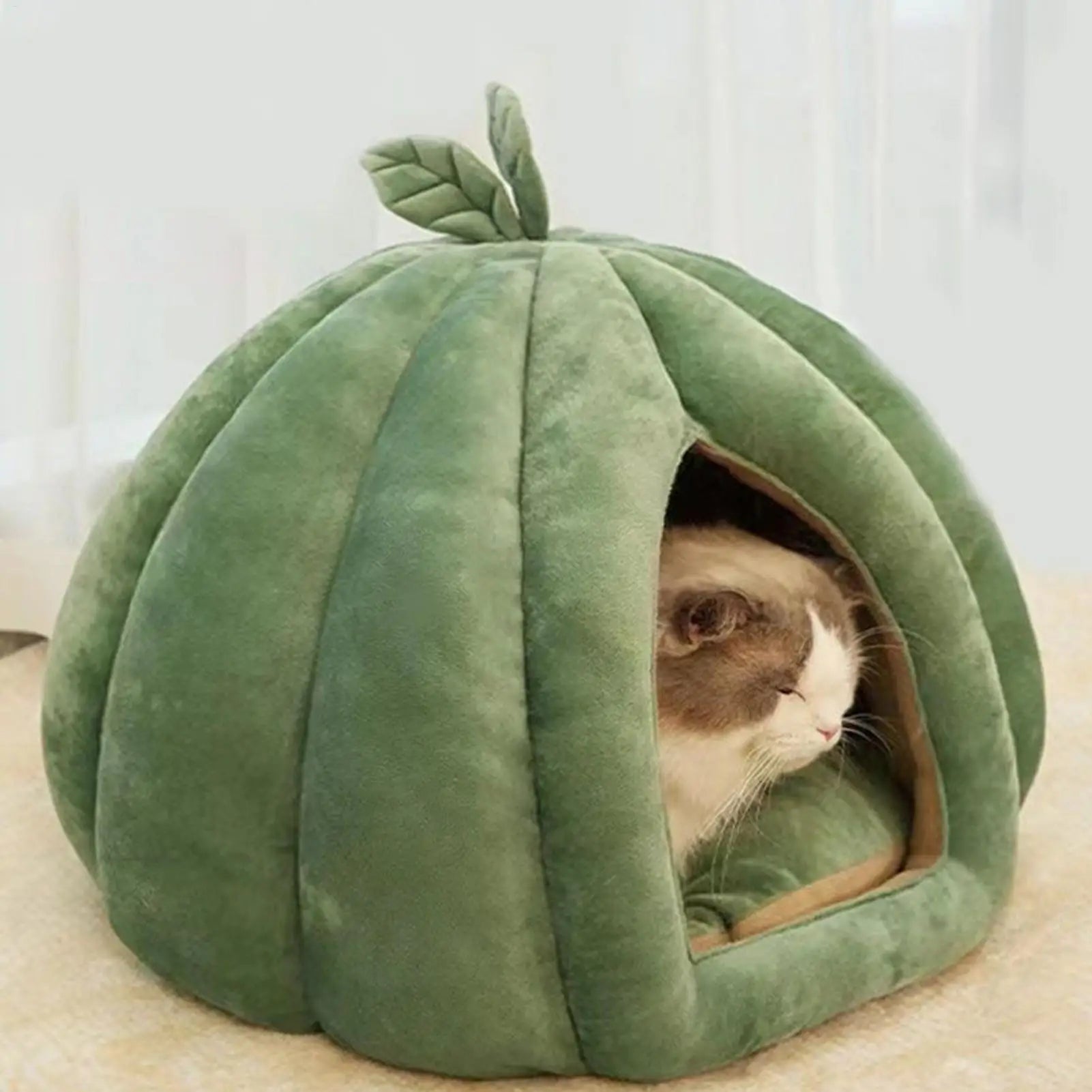 Lit citrouille pour chats d’intérieur