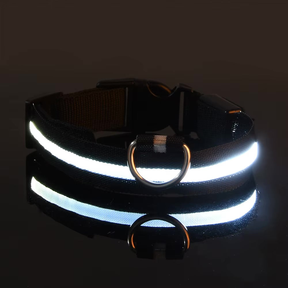 Collier Lumineux LED Réglable pour Chien