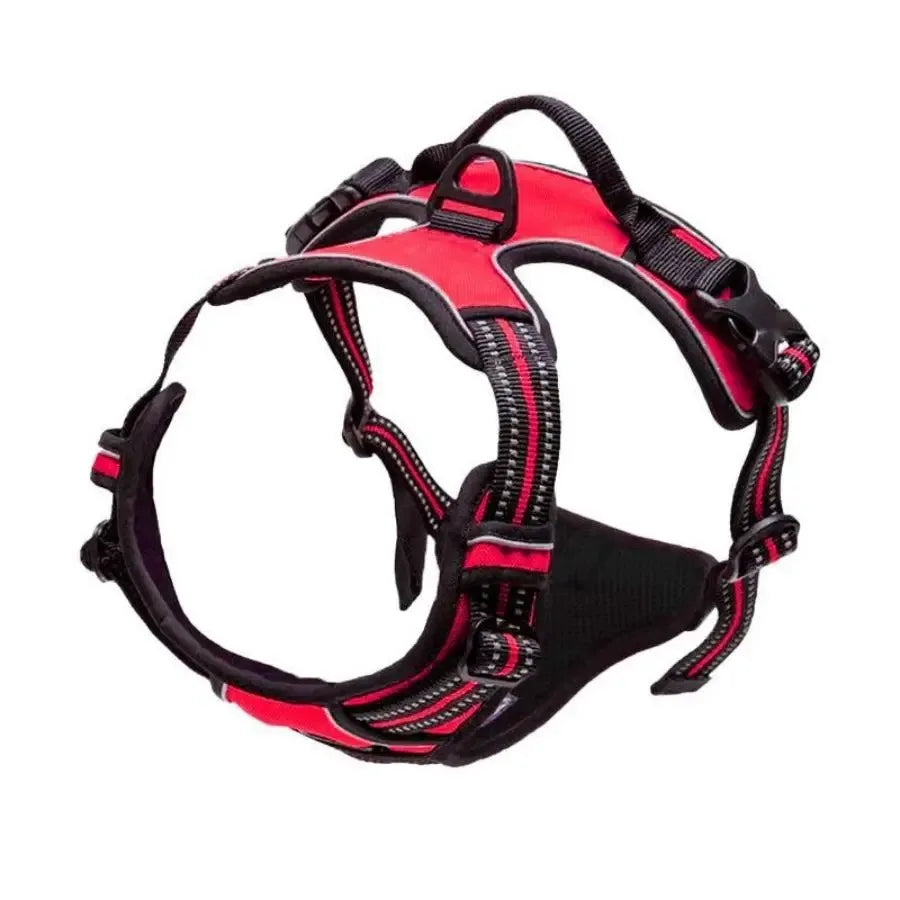 Harnais confort premium pour chien