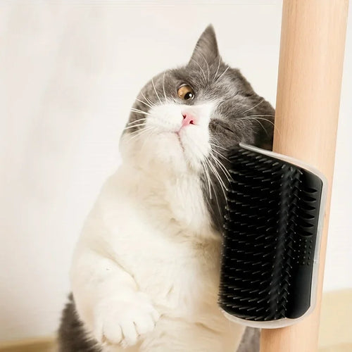 Brosse auto-toilettante murale