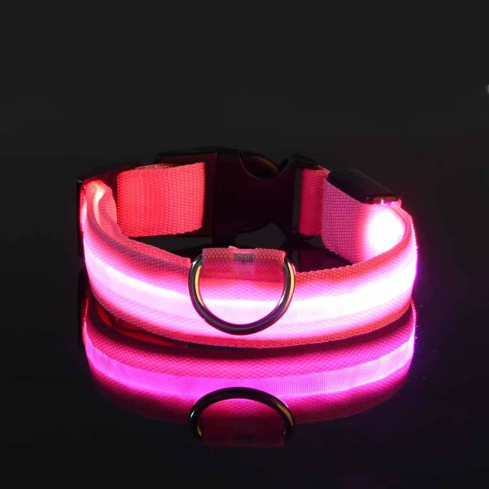 Collier Lumineux LED Réglable pour Chien