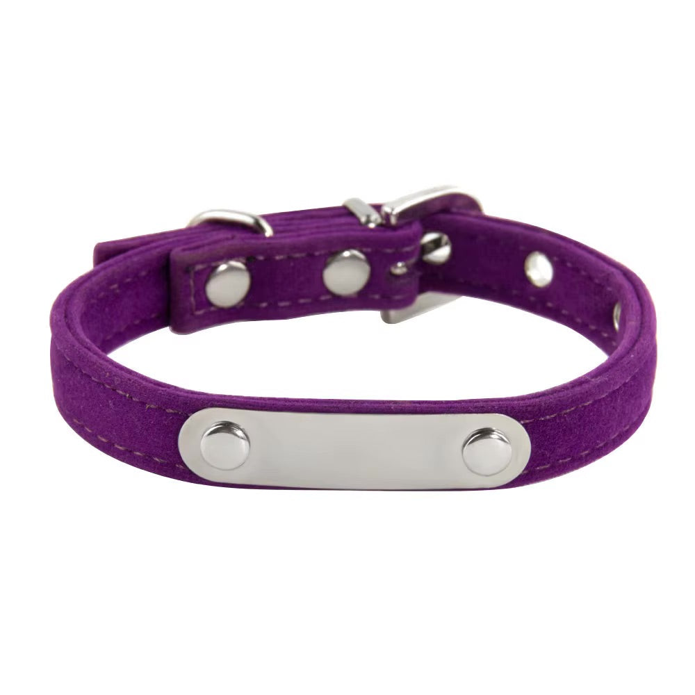 Collier gravé pour chat et chien