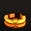 LED Dog Head Halter Leash