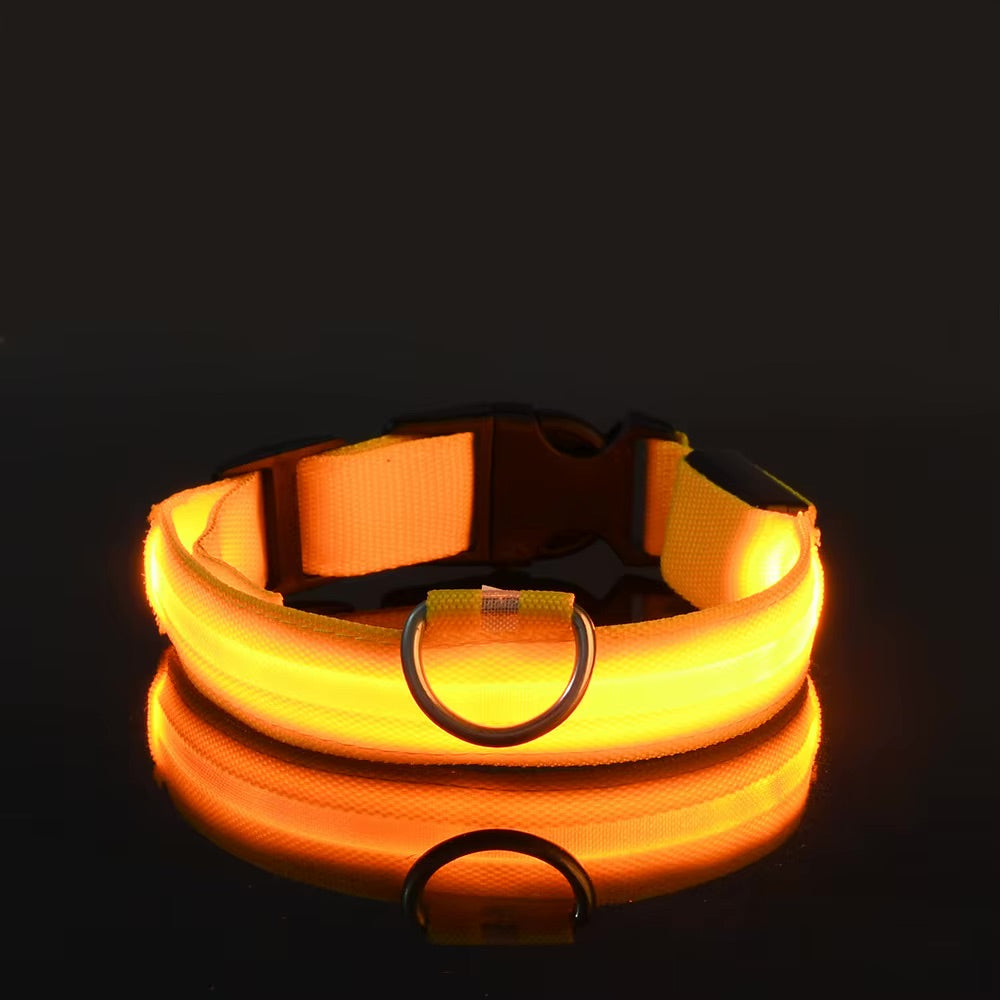 Collier Lumineux LED Réglable pour Chien