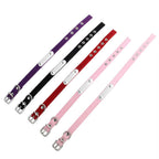 Personalized Velvet Collar for Cats and Small Dogs