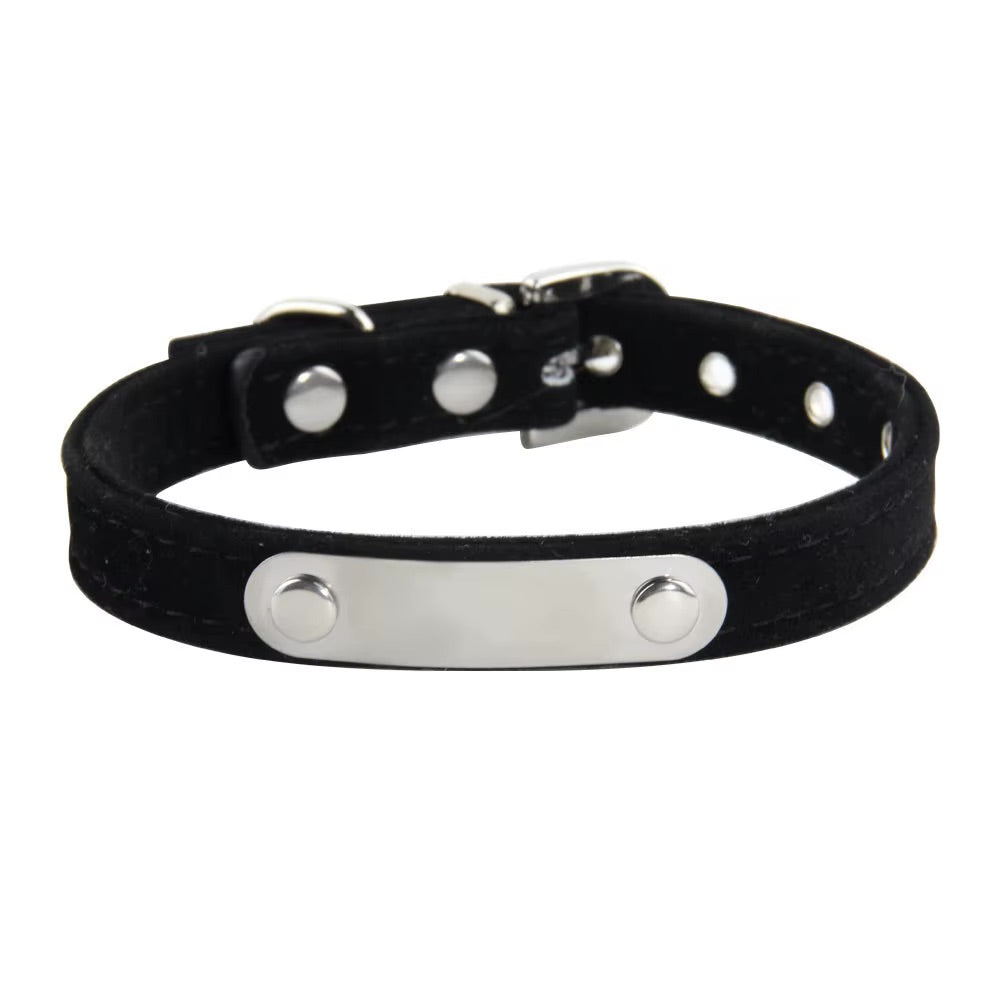 Collier gravé pour chat et chien