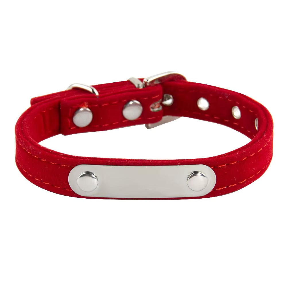Collier gravé pour chat et chien