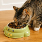 Gamelle en inox antidérapante pour chat et chien