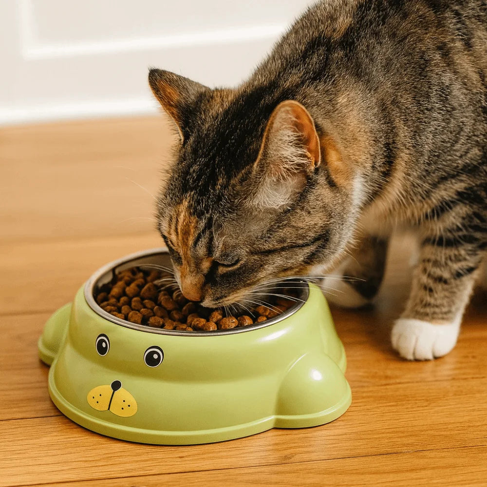 Gamelle en inox antidérapante pour chat et chien