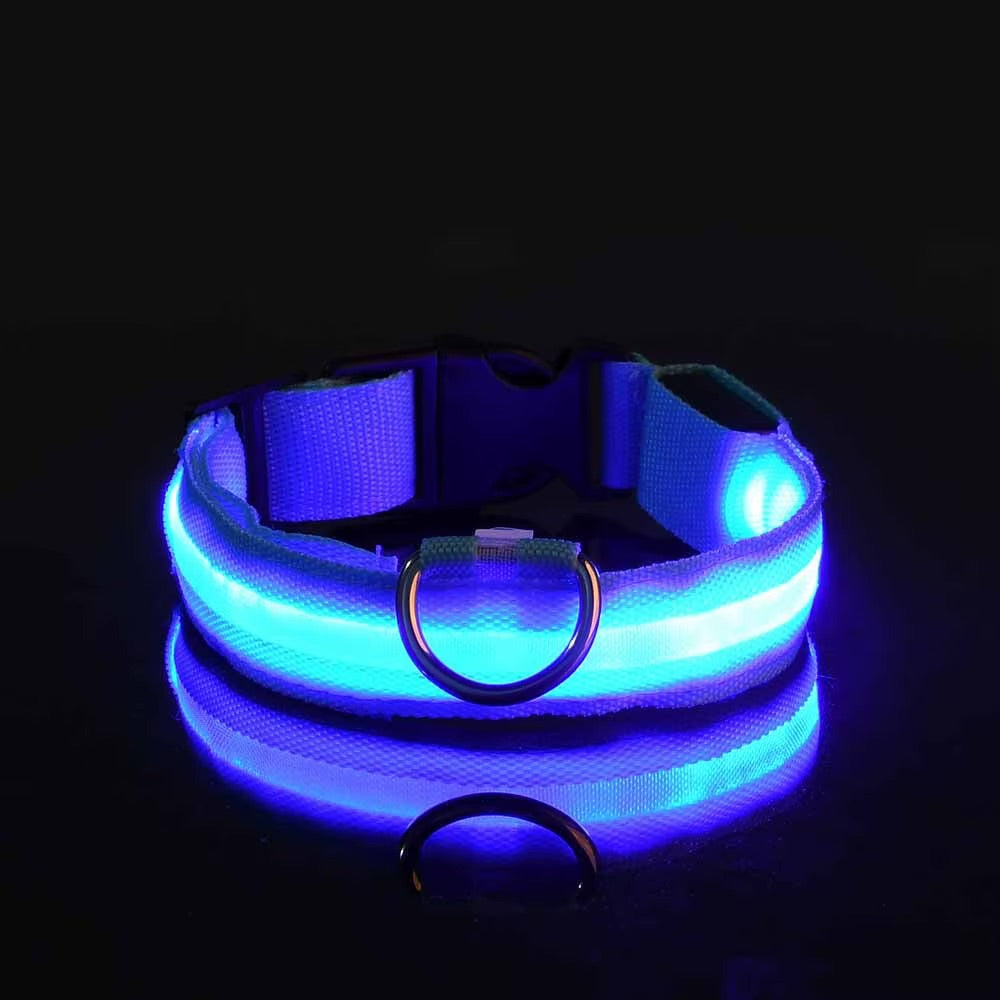 Collier Lumineux LED Réglable pour Chien