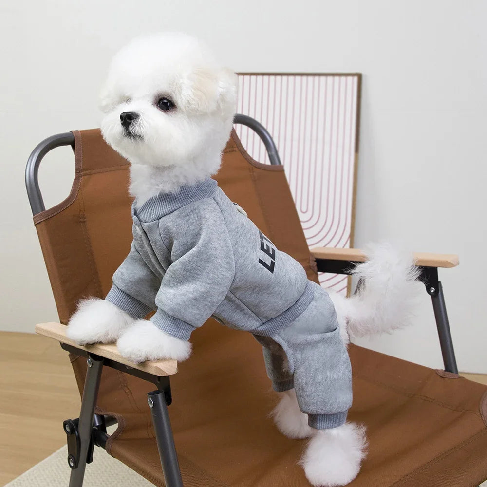 Hoodie Chaud 4 Pattes pour Chien et Chat