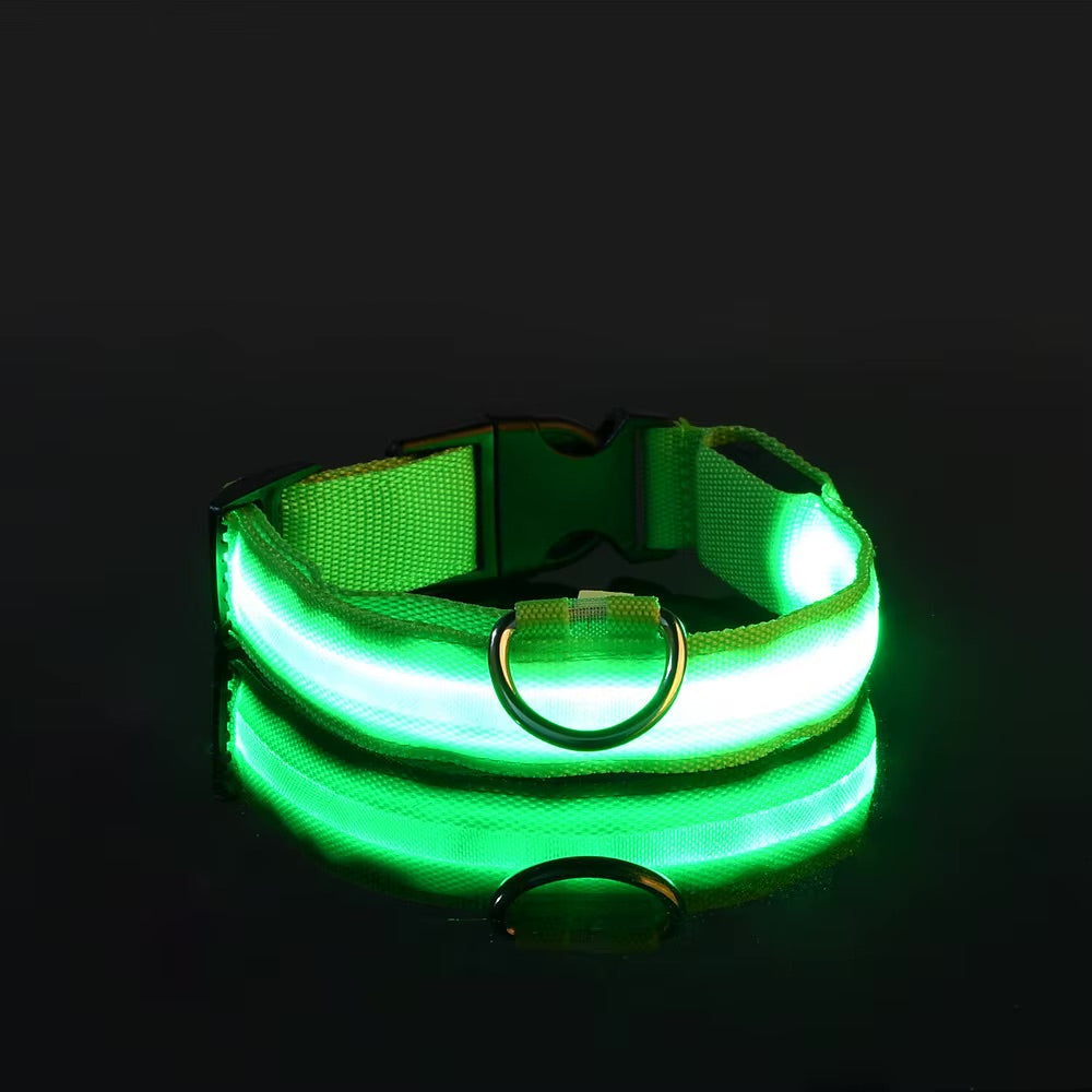 Collier Lumineux LED Réglable pour Chien
