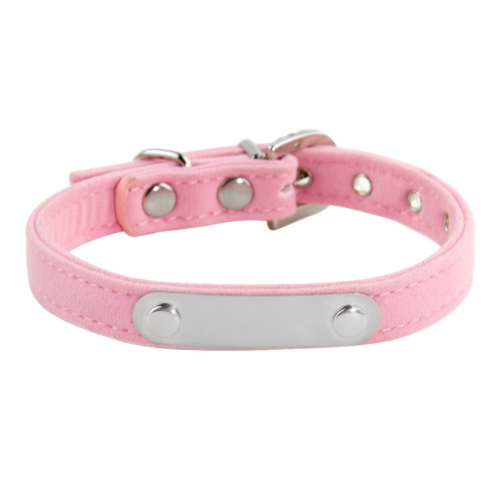 Collier gravé pour chat et chien