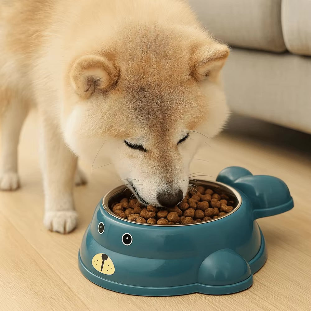 Gamelle en inox antidérapante pour chat et chien