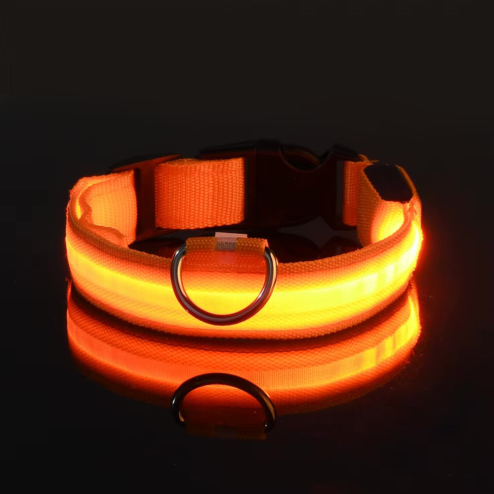 Collier Lumineux LED Réglable pour Chien