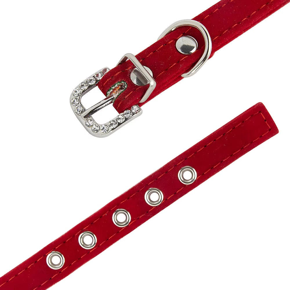 Collier gravé pour chat et chien