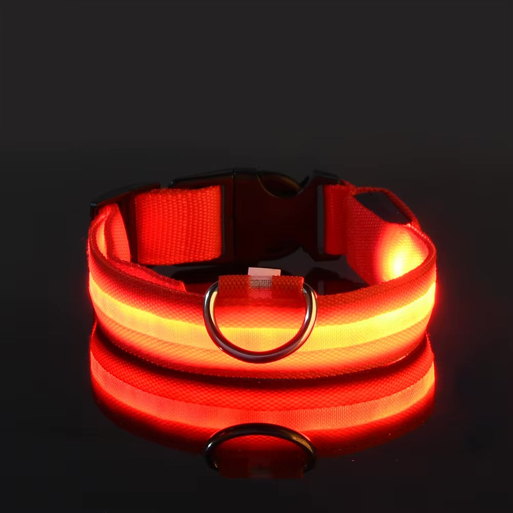 Collier Lumineux LED Réglable pour Chien