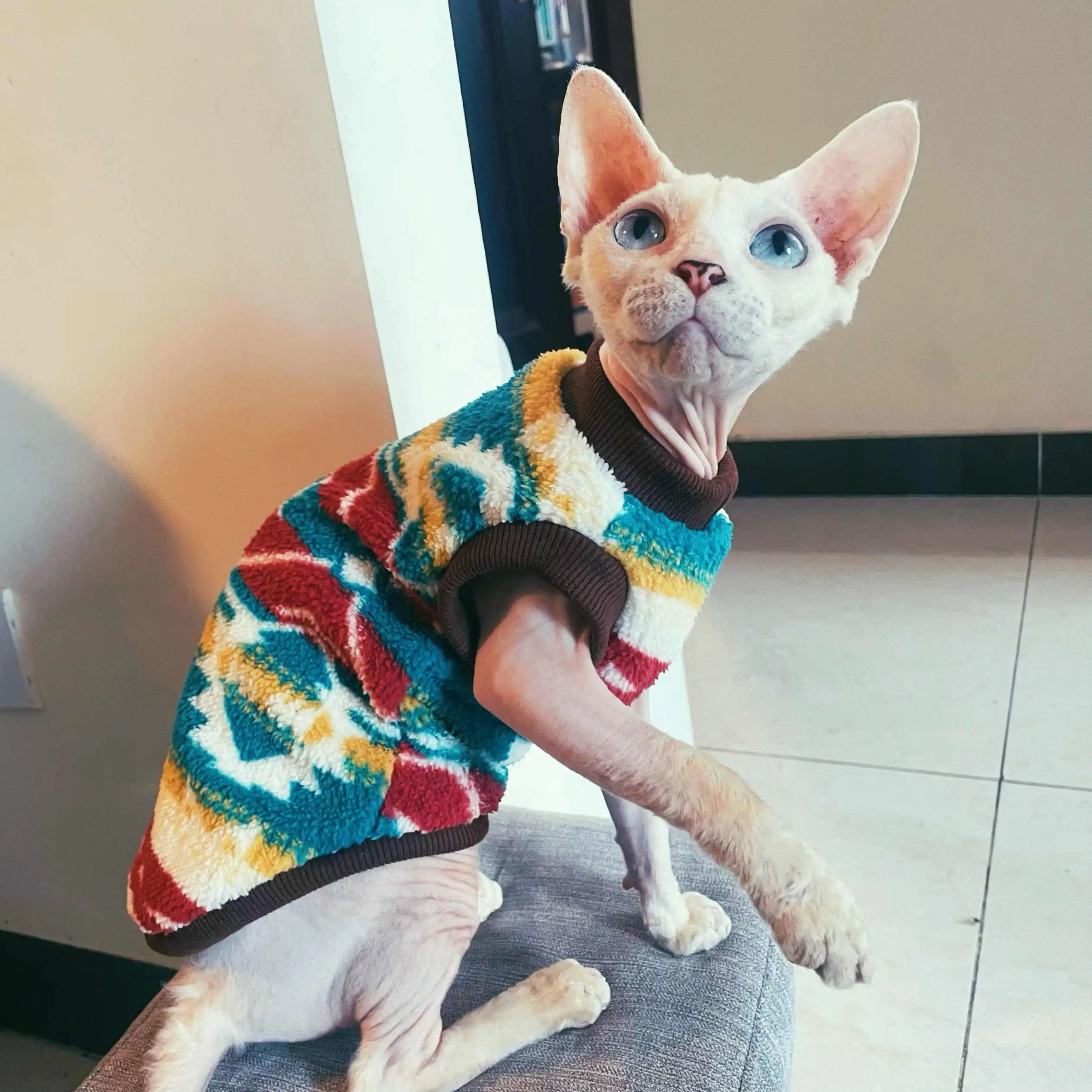 Vêtement polaire pour chat