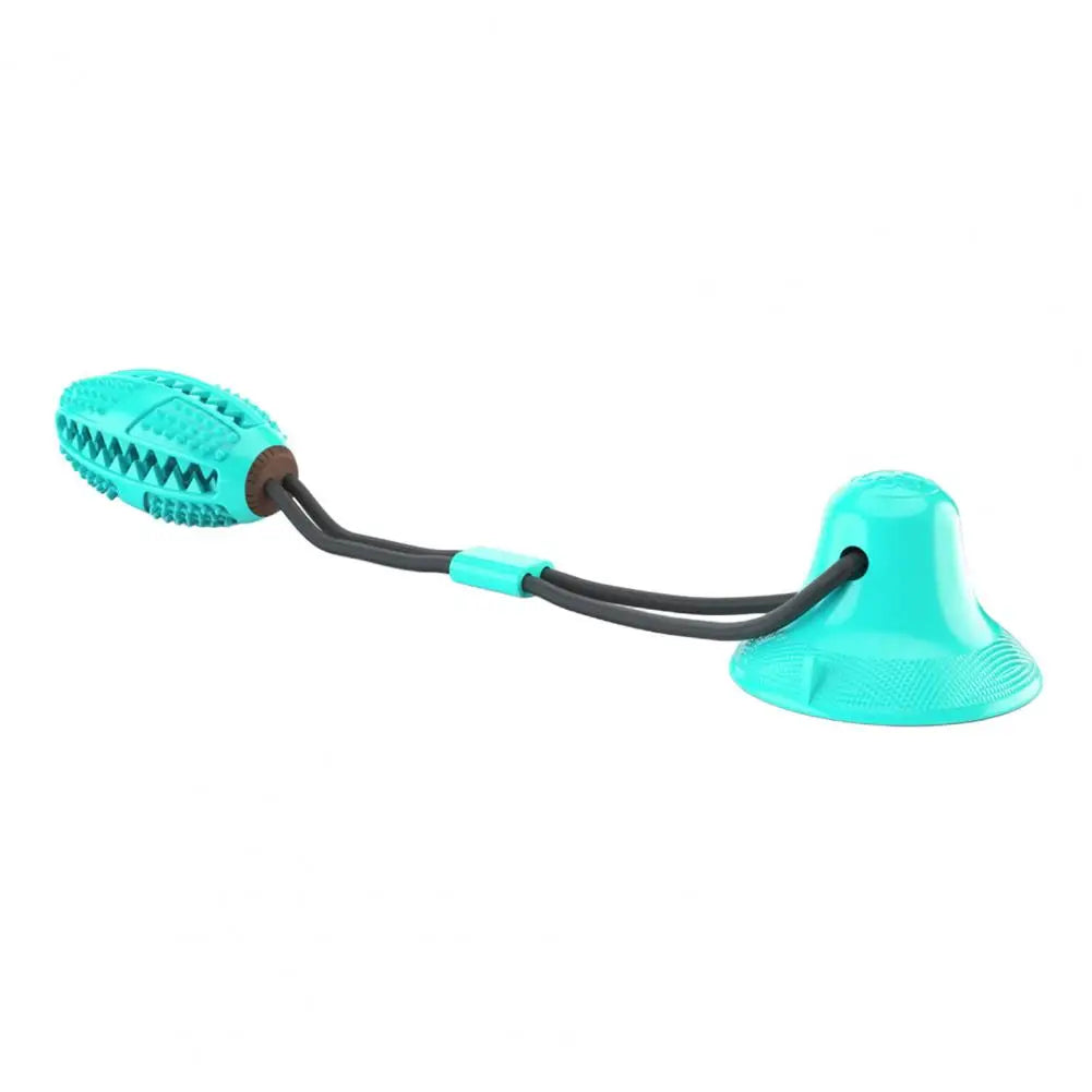 Ventouse avec corde et friandises