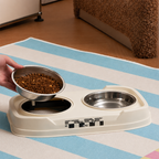 Adjustable and foldable double dog bowl