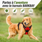 Harnais confort premium pour chien
