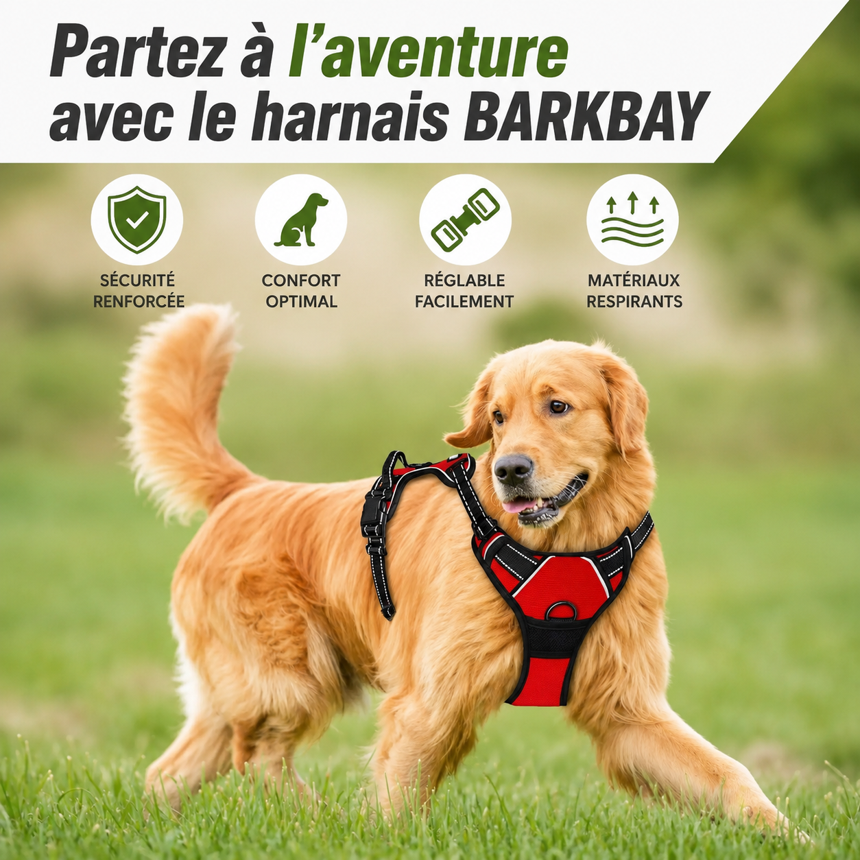 Harnais confort premium pour chien