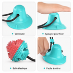 Dog suction cup toy with rope and treats