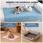 Tapis rafraîchissant premium pour animaux