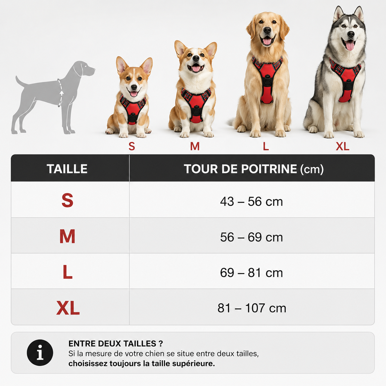 Harnais confort premium pour chien