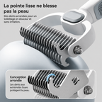 Brosse double face