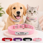 Personalized Velvet Collar for Cats and Small Dogs