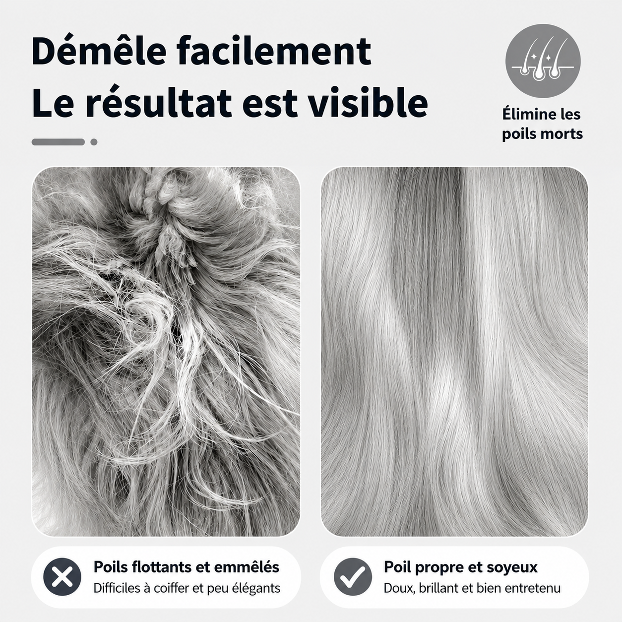Brosse double face